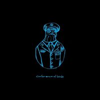 Avey Tare - Conference Of Birds / Birds In Disguise vinyl cover