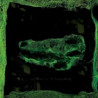 Avey Tare - Down There vinyl cover
