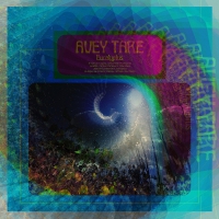 Avey Tare - Eucalyptus vinyl cover