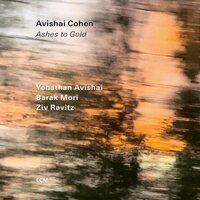 Avishai Cohen - Avishai Cohen: Ashes to Gold vinyl cover