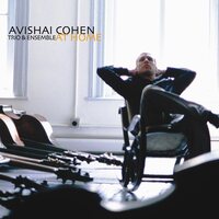 Avishai Cohen Trio & Ensemble - Cohen: At Home vinyl cover