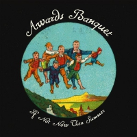 Awards Banquet - If Not Now Then Summer vinyl cover