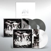 AWOLNATION - Run (10th Anniversary) vinyl cover