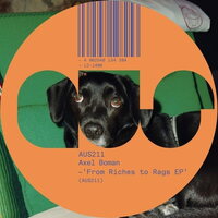 Axel Boman - From Riches To Rags vinyl cover