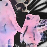 Axel Boman - Luz vinyl cover