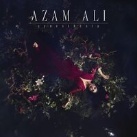 Azam Ali - Synaesthesia vinyl cover