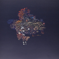 B/b/s - Palace vinyl cover