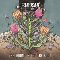 B. Dolan - The Wound Is Not the Body vinyl cover
