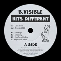 B Visible - Hits Different vinyl cover