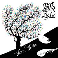 Baba Zula - Derin Derin vinyl cover