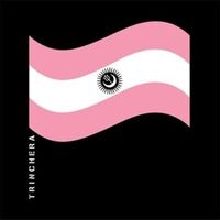 Babasonicos - Trinchera vinyl cover