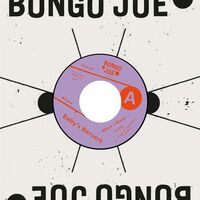 Babys Berserk - What I Mean / Sleepless vinyl cover