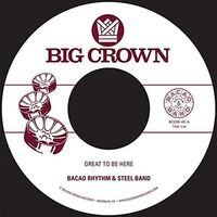 Bacao Rhythm & Steel Band - Great To Be Here / All For Tha Cash vinyl cover