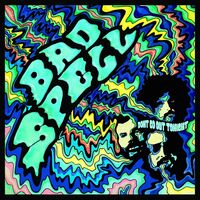 Bad Spell - Don't Go Out Tonight vinyl cover