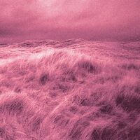 Bait - Sea Change vinyl cover