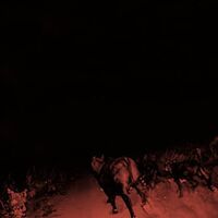 Bambara - Shadow On Everything vinyl cover