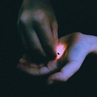 Bambara - Stray vinyl cover