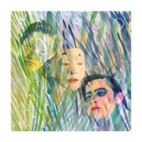 Bamboo - Dragon Flies Away vinyl cover