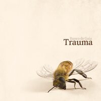 Banco de Gaia - Trauma vinyl cover
