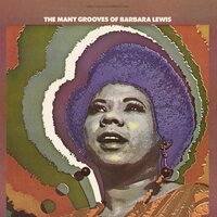 Barbara Lewis - The Many Grooves Of Barbara Lewis All-Analog vinyl cover