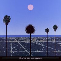 Barber in the Livingroom - Moon & Palms vinyl cover