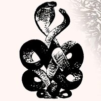 Bardo Pond - Volume 4 & 5 vinyl cover