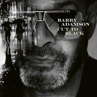バリー・アダムソン - Cut To Black vinyl cover