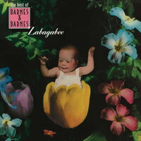 Barnes & Barnes - Zabagabee: The Best Of Barnes & Barnes vinyl cover