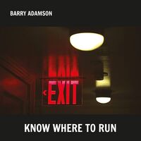 Barry Adamson - Know Where To Run (Silver)