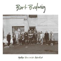 Bart Budwig - Another Burn On The Astroturf vinyl cover