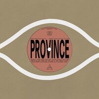 Bartees Strange - Province vinyl cover