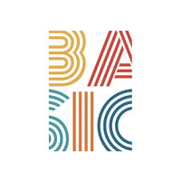 Basic - Basic vinyl cover