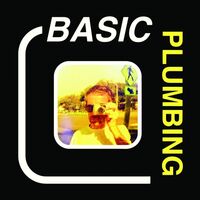 Basic Plumbing - Keeping Up Appearances vinyl cover