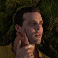 Baths - Romaplasm vinyl cover