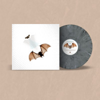 Batsauce - Echolocation (Gray) vinyl cover