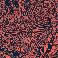 Batu - Murmur vinyl cover