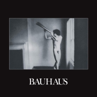 Bauhaus - In The Flat Field Bronze vinyl cover
