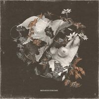 Baulta - Another Second Chance vinyl cover