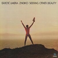 Bayeté Umbra Zindiko - Seeking Other Beauty All-Analog Plasma vinyl cover