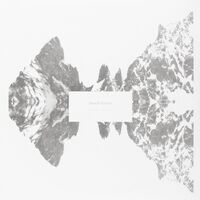 Beach Fossils - Shallow vinyl cover
