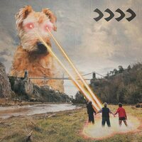 Beak - >>>> vinyl cover