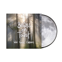 Beans on Toast - Wild Goose Chasers (Picture) vinyl cover