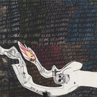 Bear Vs. Shark - Right Now You're In The Best Of Hands / Terrorhawk vinyl cover