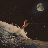 Bearings - Blue In The Dark vinyl cover