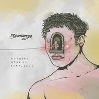 Bearings - Nothing Here Is Permanent vinyl cover