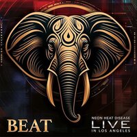 BEAT - Live vinyl cover