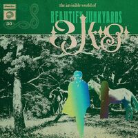 Beautify Junkyards - The Invisible World Of Beautify Junkyards vinyl cover