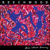 Beechwood - Sleep Without Dreaming vinyl cover