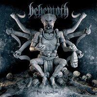 Behemoth - The Apostasy (Solid silver) vinyl cover