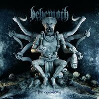 Behemoth - The Apostasy vinyl cover